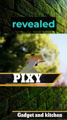 Snap Pixy drone: A flying robot photographer