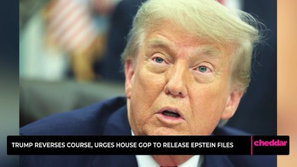 Trump Reverses Course, Urges House GOP to Release Epstein Files