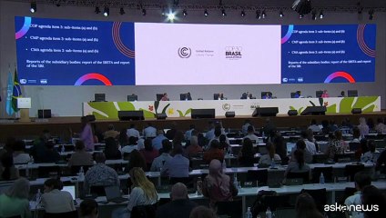 Cop30, Onu: su clima accelerare negoziati, non possiamo perdere tempo