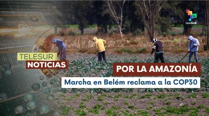 Ciudadanos en Brasil exigen mejoras para el cuidado de la madre tierra