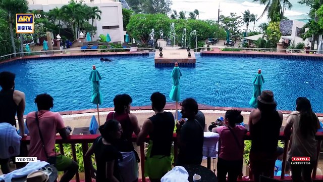 The Ultimate Muqabla S4 | Episode 13 | Shoaib Malik | 17 Nov 2025 | ARY Digital