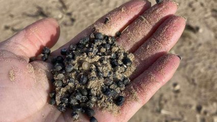 Officials claim that Biobeads cleanup "could take years", as plastic pollution concerns grow