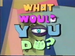 What Would You Do (07/29/1993) [VHS]