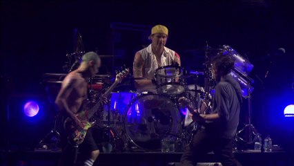 Under the Bridge - Red Hot Chilli Peppers (live)