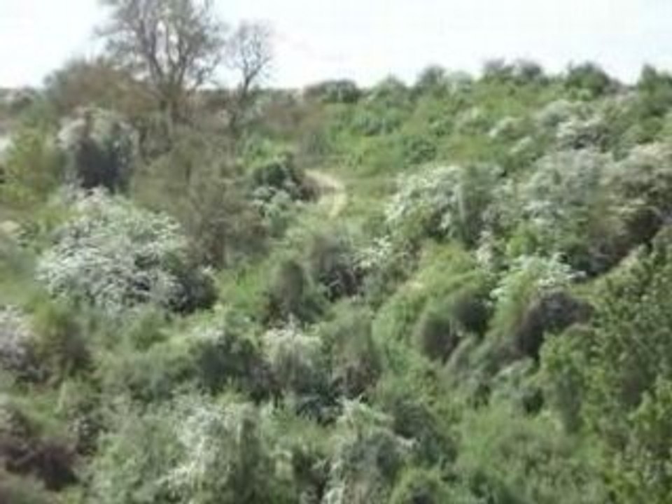 MOV00118