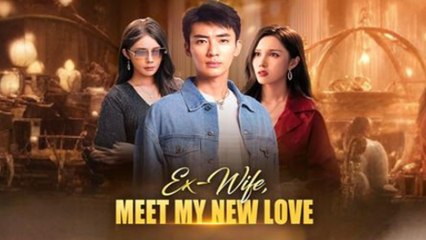 Ex-Wife, Meet My New Love Full movie