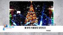 [포토오늘] 불 밝힌 서울광장 성탄트리 / YTN