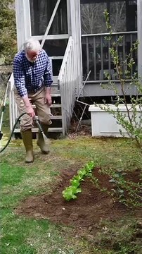 Datos Curiosos sobre el JARDÍN Y PATIO que No Sabías - MetaDato (360p, h264)