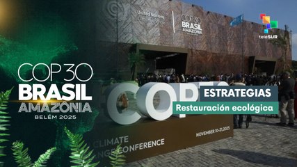 Líderes mundiales contribuyen en la restauración del medio ambiente