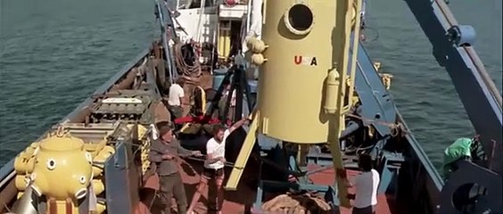 1977 Tentacles FULL HOT MOVIE John Huston, Shelley Winters, Henry Fonda