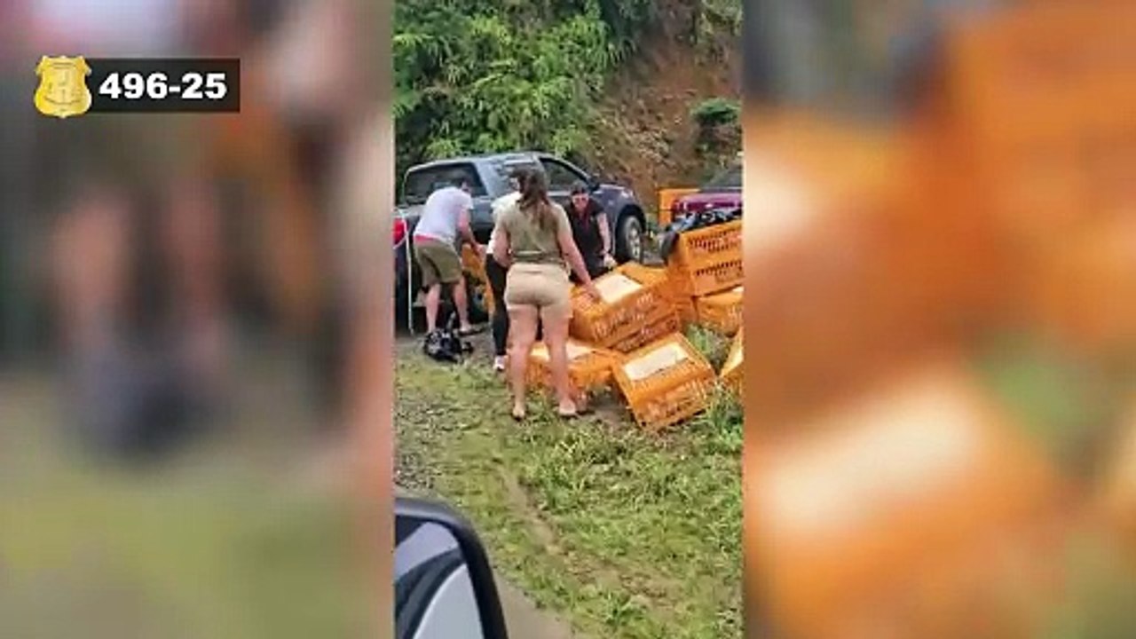 Robo de pollos