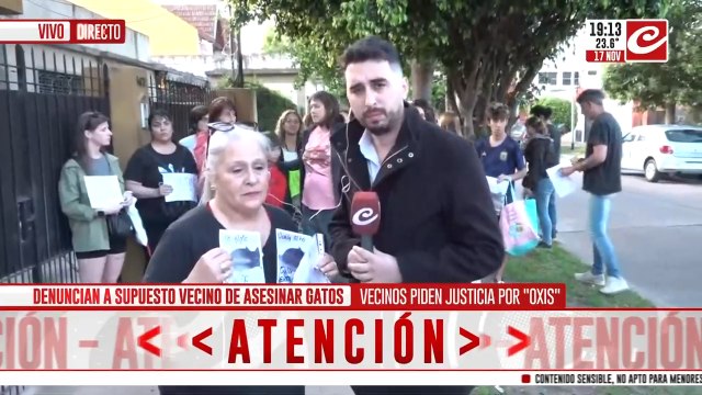 Vecinos piden justicia por Onix : denuncian a vecino de asesinar gatos