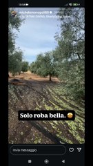 Michele monopoli solo roba bella