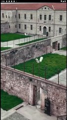 Queen of Hearts Full Movie #Reelsshort