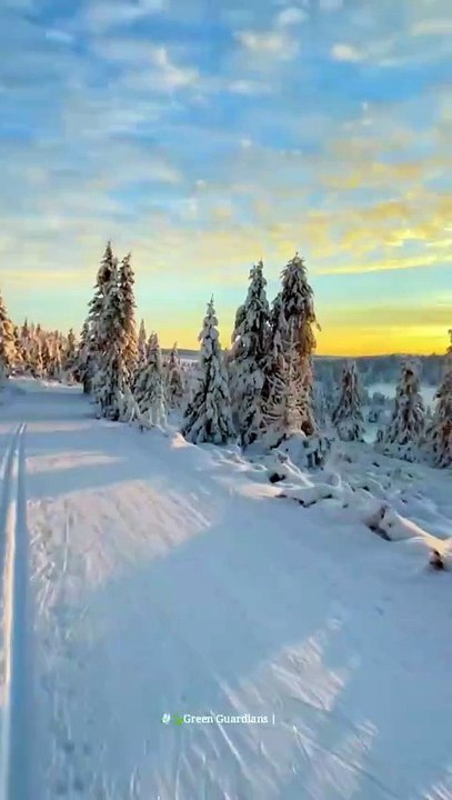 VID-20251112-WA0005