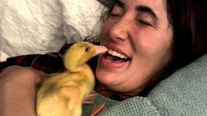 Baby Duck Follows Her Human Mom Around All Day