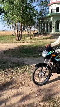 bachon ki tarbiyt ka treqa_ kiasa laga #youtuber #youtubeshorts