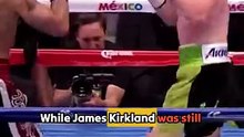 James Kirkland couldn't AVOID Canelo's right HOOK!