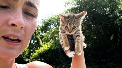 Woman Goes On A Run And Comes Home With A Kitten