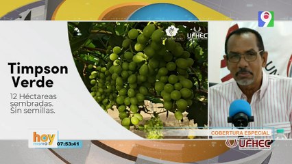 Cobertura Especial desde Producción de Uva de Mesa en el Pajonal  | Hoy Mismo