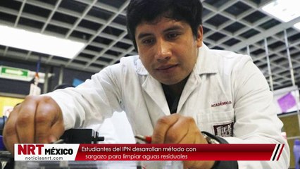 Estudiantes del IPN desarrollan método con sargazo para limpiar aguas residuales