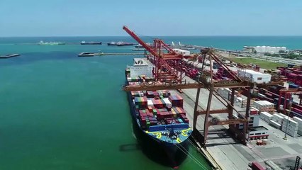 Vereadores do PSD Presos por Lavagem de Dinheiro em Ipojuca: Operação Investiga Prejuízo de R$12 milhões aos Cofres Públicos