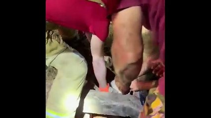 Resgate na madrugada põe fim ao drama de Chifu, cão que mobilizou bairro de Umuarama