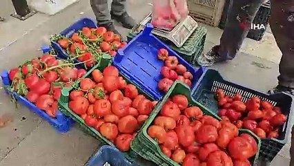 Deprem Bölgesi Sındırgı’da Hayat Yeniden Kuruluyor