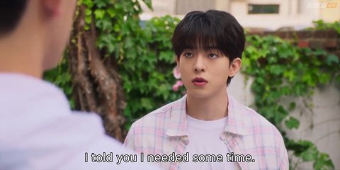 EP6 Peach Blossoms Bloomed