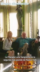 Matrimonio instantáneo con mi marido hombre lobo ES