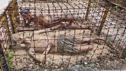 Phu Quoc Coconut Prison and its Tortures - Vietnam