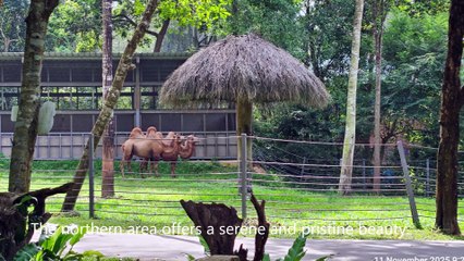 Vinpearl Safari - Phu Quoc, Vietnam