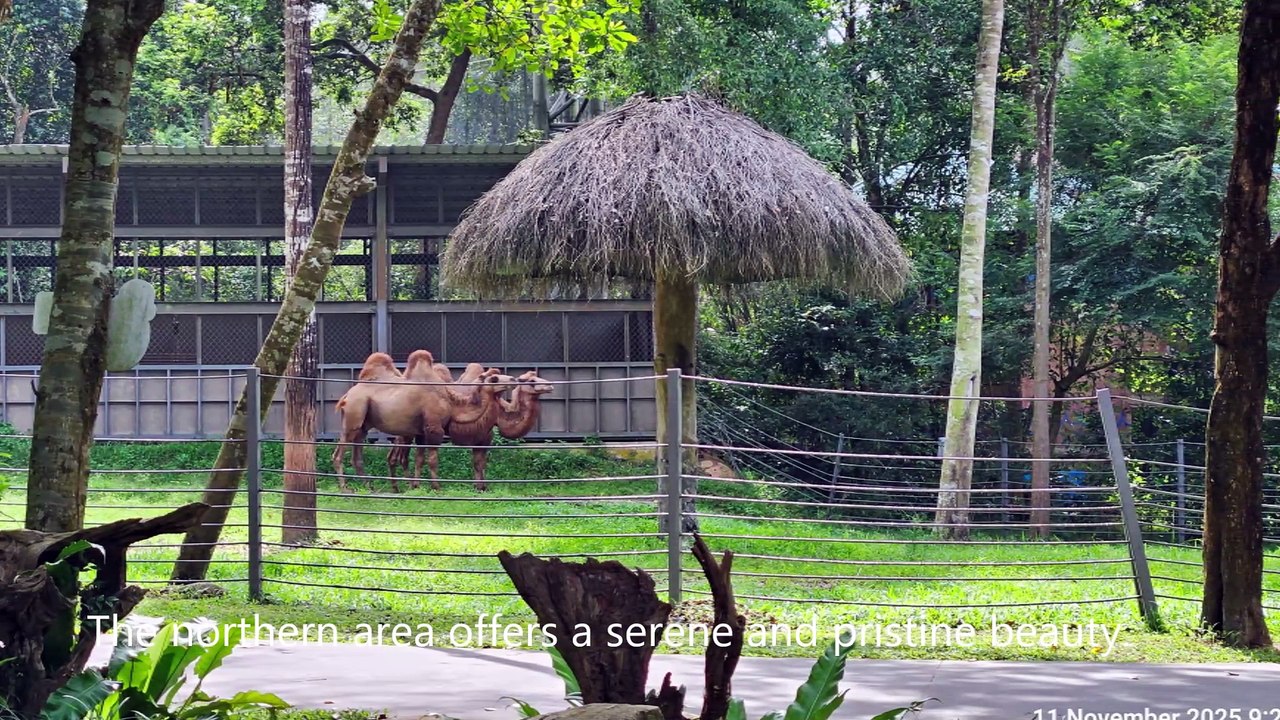 Vinpearl Safari - Phu Quoc, Vietnam