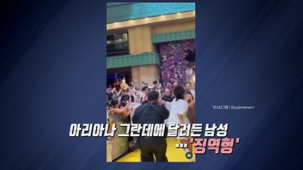 아리아나 그란데에 뛰어든 인플루언서...결국 '징역형' [앵커리포트] / YTN