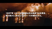 野良人間　獣に育てられた子どもたち | movie | 2021 | Official Trailer