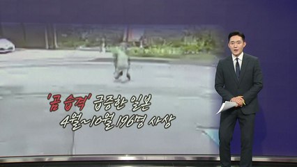 사람 덮치고 활주로 출몰하고...일 '곰 습격' 급증 [앵커리포트] / YTN