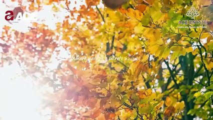 Discover Yamuna Expressway Township a Calm And Modern Place To Call Home