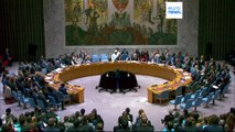 El Consejo de Seguridad de la ONU aprueba el plan de paz de Trump para Gaza