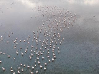 Van'ın canavara ihtiyacı yok! Farklı güzellikleriyle dikkat çekiyor