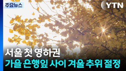 [날씨] 서울 첫 영하권...가을 은행잎 사이 겨울 추위 절정 / YTN