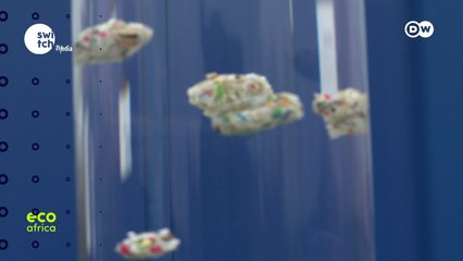 Eco Africa - Adapting to climate change