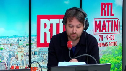 Sur les ailes du premier papillon géolocalisé de l'histoire