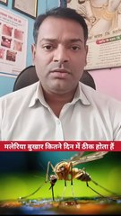 मलेरिया बुखार कितने दिन में ठीक होता है ।
