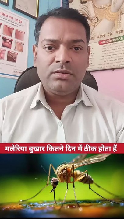 मलेरिया बुखार कितने दिन में ठीक होता है ।