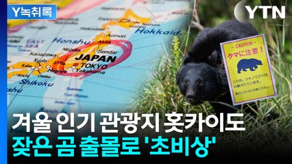 지금 일본 가도 되나요?...주택가 나무 위에 곰이 버젓이 [Y녹취록] / YTN