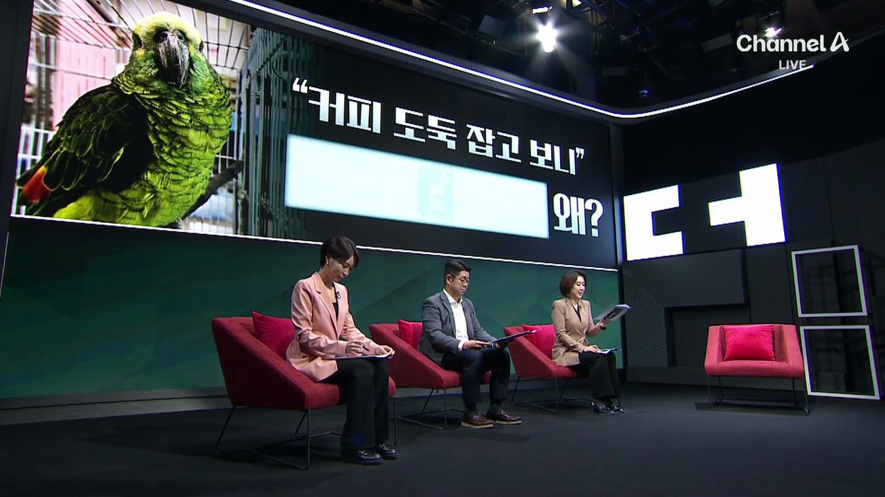 “앵무새가 커피 훔쳐 마셔요”…잡고 보니 ‘멸종위기종’