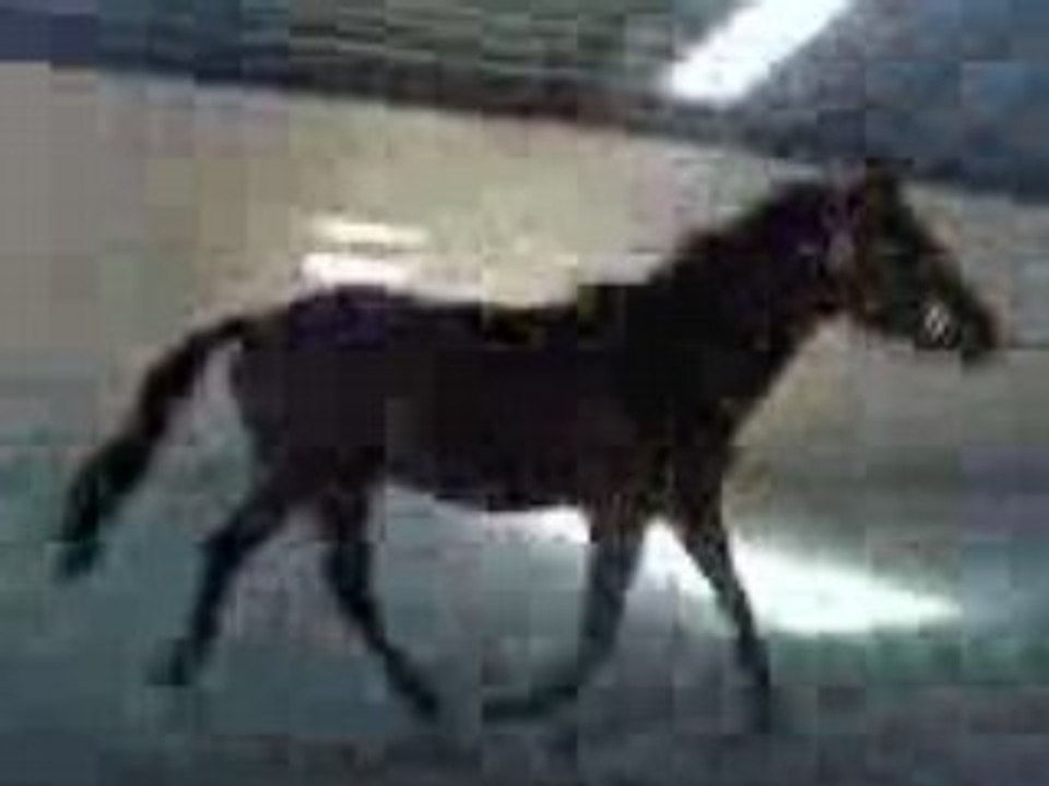 Lover Boy en liberté