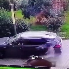 Antalya'da 35 bin Euro'sunu çalan hırsızları ezen turist 25 yıl hapis cezası aldı!