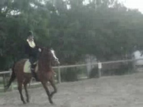 Essaie changements de pieds sur une barre au sol