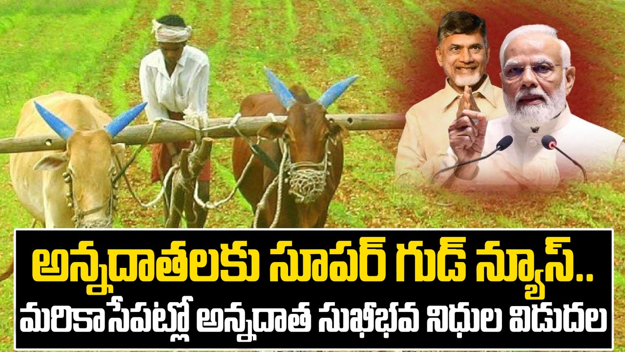 PM Kisan Annadata Sukhibhava డబ్బులు మరికాసేపట్లో రైతుల అకౌంట్లో | Oneindia Telugu